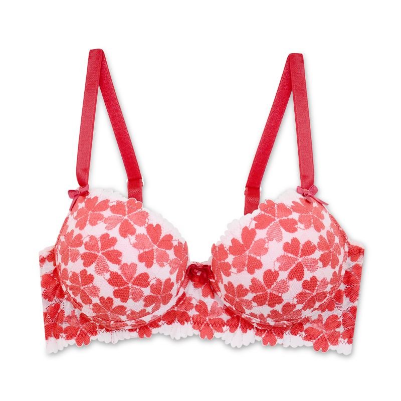 Conjunto em renda